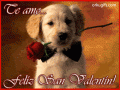 imágenes y comentarios de Feliz San Valentin 
